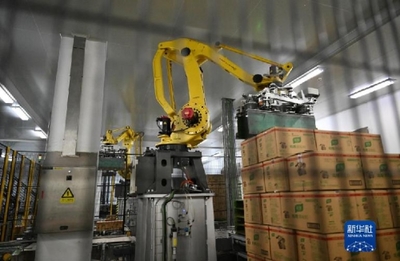 “舌尖上”的智能制造 探訪全球首家調味品“燈塔工廠”的包裝機械革命