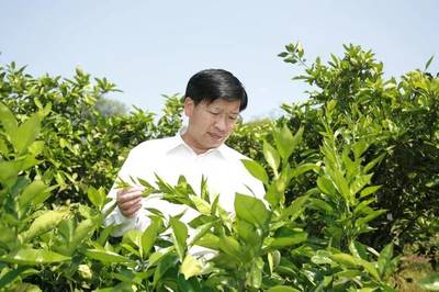 對話雙一流 華中農業大學園藝學科，以科技賦能農業園藝服務