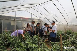 河南農業大學專家團到訪園區，共探現代農業園藝服務新篇章